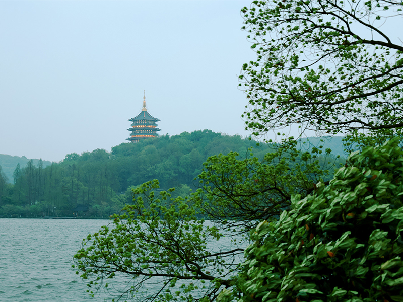 人文杭州，父母們來了！河南礦山第十三屆孝文化感恩旅游節第三站
